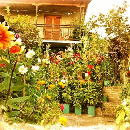 Guesthouse Gouris Tsepelovo Exterior foto